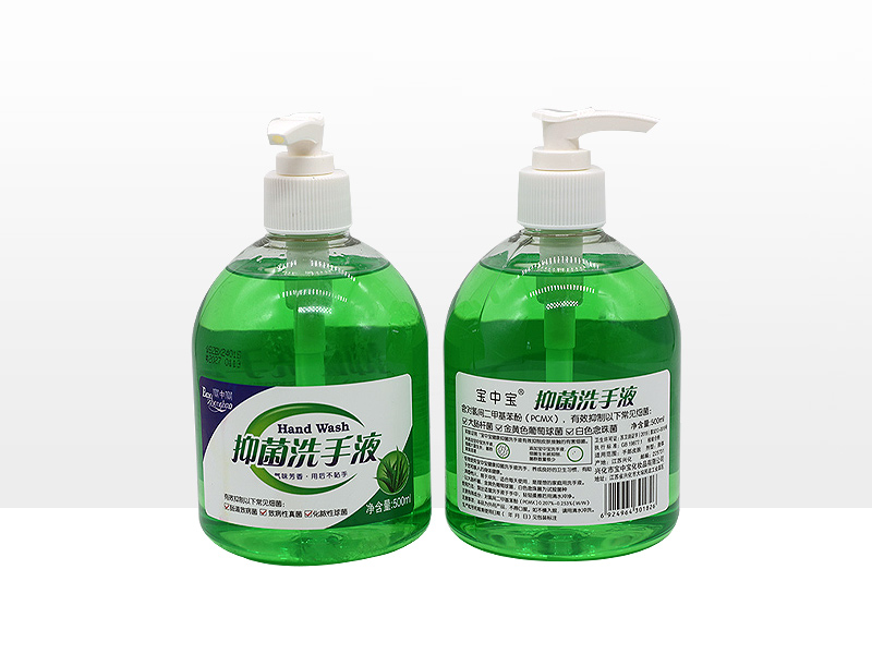 500ml寶中寶蘆薈抑菌洗手液